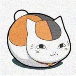 读者沈迟头像